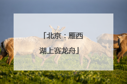 北京：雁西湖上赛龙舟