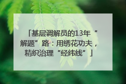 基层调解员的13年“解题”路：用绣花功夫，精织治理“经纬线”