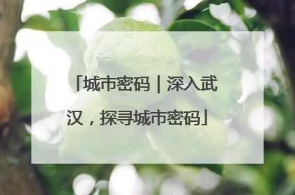 城市密码｜深入武汉，探寻城市密码