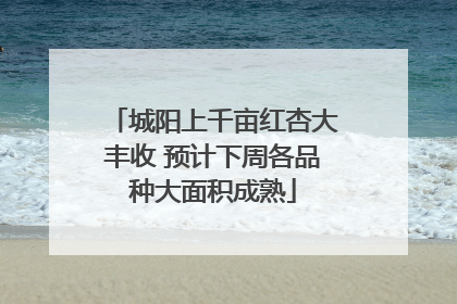 城阳上千亩红杏大丰收 预计下周各品种大面积成熟