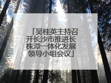 吴桂英主持召开长沙市推进长株潭一体化发展领导小组会议