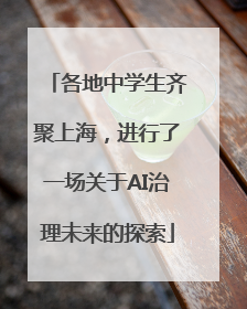 各地中学生齐聚上海，进行了一场关于AI治理未来的探索