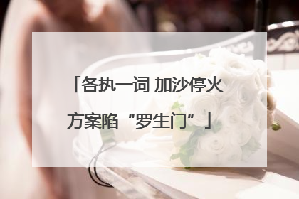各执一词 加沙停火方案陷“罗生门”