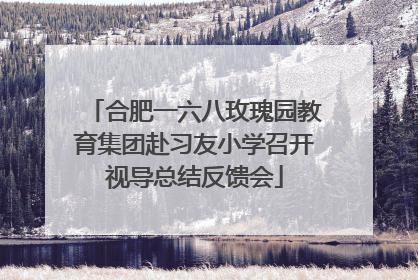 合肥一六八玫瑰园教育集团赴习友小学召开视导总结反馈会