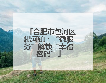 合肥市包河区淝河镇：“微服务”解锁“幸福密码”