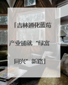 吉林通化蓝莓产业铺就“绿富同兴”新路