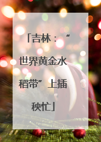 吉林：“世界黄金水稻带”上插秧忙