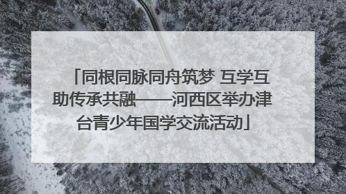同根同脉同舟筑梦 互学互助传承共融——河西区举办津台青少年国学交流活动