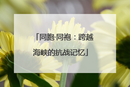 同胞·同袍：跨越海峡的抗战记忆