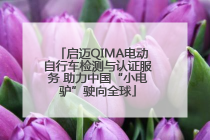 启迈QIMA电动自行车检测与认证服务 助力中国“小电驴”驶向全球