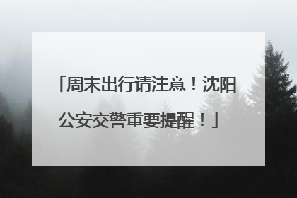 周末出行请注意！沈阳公安交警重要提醒！