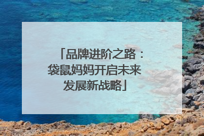 品牌进阶之路：袋鼠妈妈开启未来发展新战略