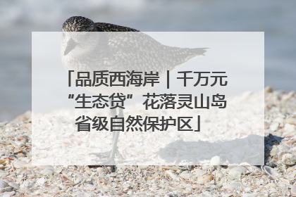 品质西海岸｜千万元“生态贷”花落灵山岛省级自然保护区