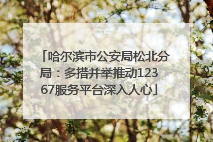 哈尔滨市公安局松北分局：多措并举推动12367服务平台深入人心