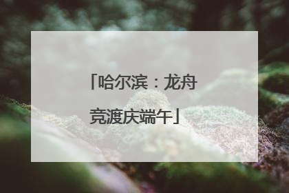 哈尔滨：龙舟竞渡庆端午