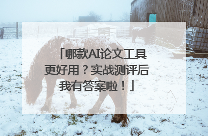 哪款AI论文工具更好用？实战测评后我有答案啦！