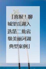 喜报！聊城望岳湖入选第二批省级美丽河湖典型案例