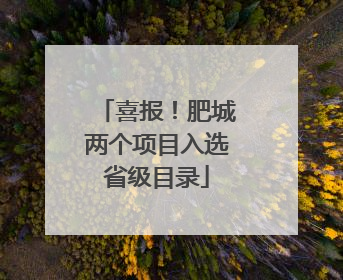 喜报！肥城两个项目入选省级目录