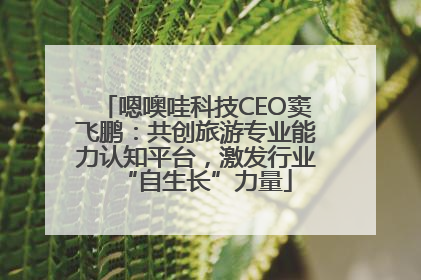 嗯噢哇科技CEO窦飞鹏：共创旅游专业能力认知平台，激发行业“自生长”力量