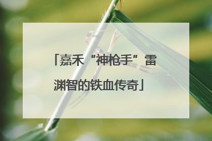 嘉禾“神枪手”雷渊智的铁血传奇