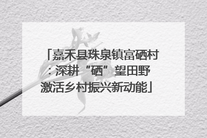 嘉禾县珠泉镇富硒村：深耕“硒”望田野 激活乡村振兴新动能