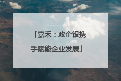 嘉禾：政企银携手赋能企业发展