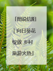 图说信阳｜向日葵花绽放 乡村旅游火热