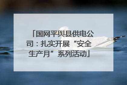 国网平舆县供电公司：扎实开展“安全生产月”系列活动