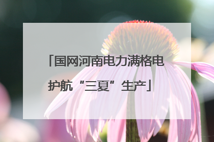 国网河南电力满格电护航“三夏”生产