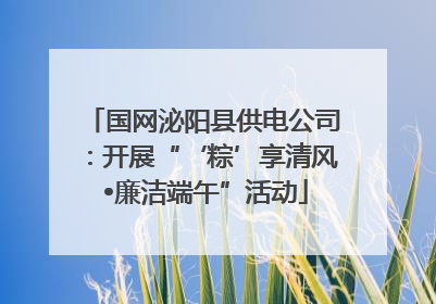 国网泌阳县供电公司：开展“‘粽’享清风 •廉洁端午”活动