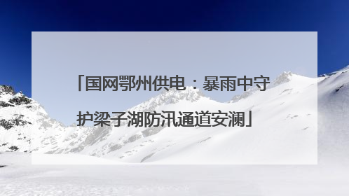 国网鄂州供电：暴雨中守护梁子湖防汛通道安澜