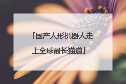 国产人形机器人走上全球最长猫道