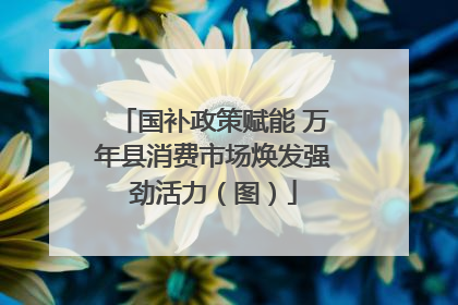 国补政策赋能 万年县消费市场焕发强劲活力（图）