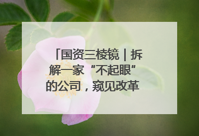 国资三棱镜｜拆解一家“不起眼”的公司，窥见改革中的山东国企