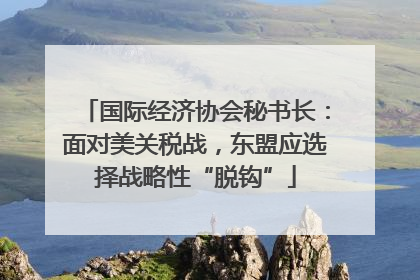 国际经济协会秘书长：面对美关税战，东盟应选择战略性“脱钩”