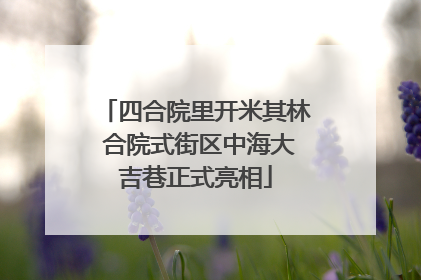 四合院里开米其林 合院式街区中海大吉巷正式亮相