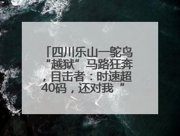 四川乐山一鸵鸟“越狱”马路狂奔，目击者：时速超40码，还对我“笑”了下