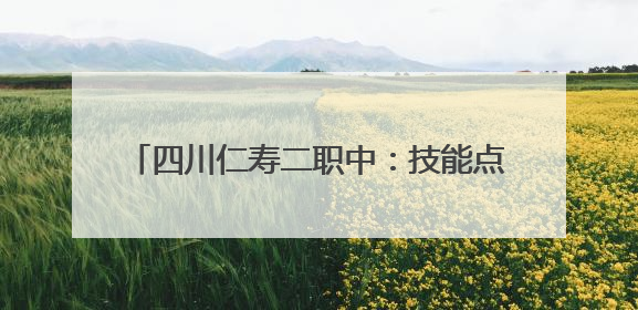 四川仁寿二职中：技能点亮青春，匠心接续传承