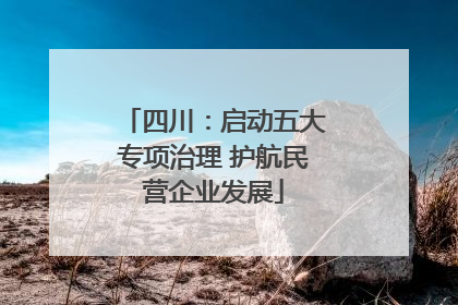 四川:启动五大专项治理 护航民营企业发展