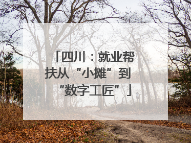 四川：就业帮扶从“小摊”到“数字工匠”