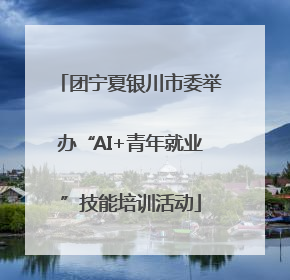 团宁夏银川市委举办“AI+青年就业”技能培训活动