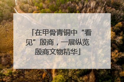 在甲骨青铜中“看见”殷商，一展纵览殷商文物精华