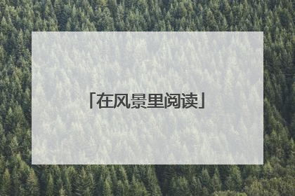 在风景里阅读