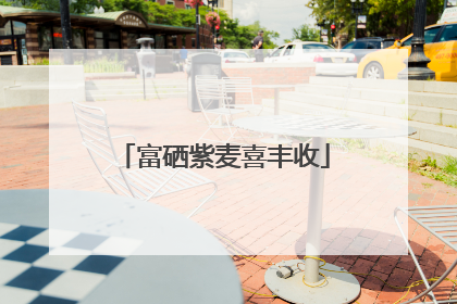 富硒紫麦喜丰收