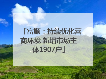 富顺：持续优化营商环境 新增市场主体1907户