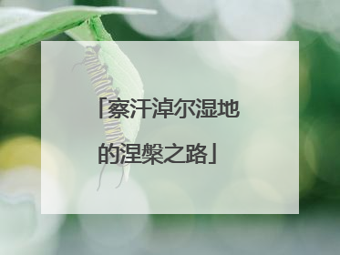 察汗淖尔湿地的涅槃之路