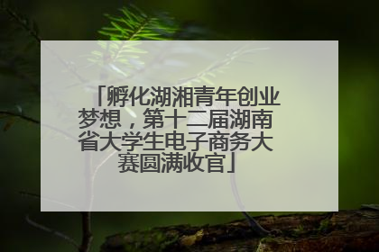 孵化湖湘青年创业梦想，第十二届湖南省大学生电子商务大赛圆满收官