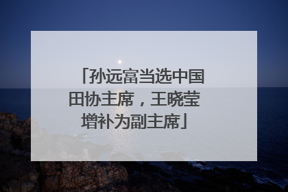 孙远富当选中国田协主席，王晓莹增补为副主席