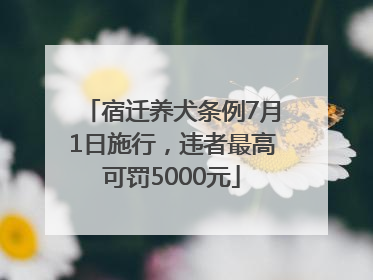 宿迁养犬条例7月1日施行，违者最高可罚5000元
