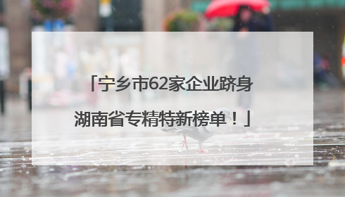 宁乡市62家企业跻身湖南省专精特新榜单！